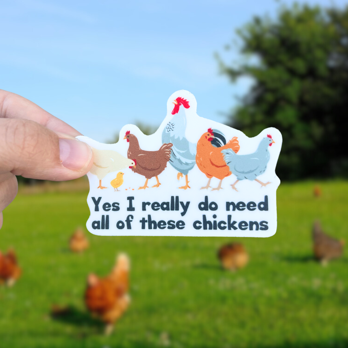 Chicken Sticker Set of 5