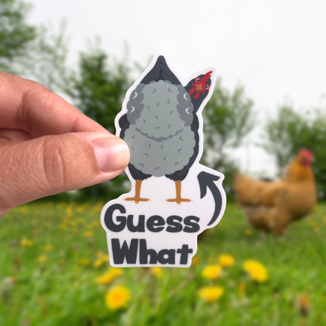 Chicken Sticker Set of 5