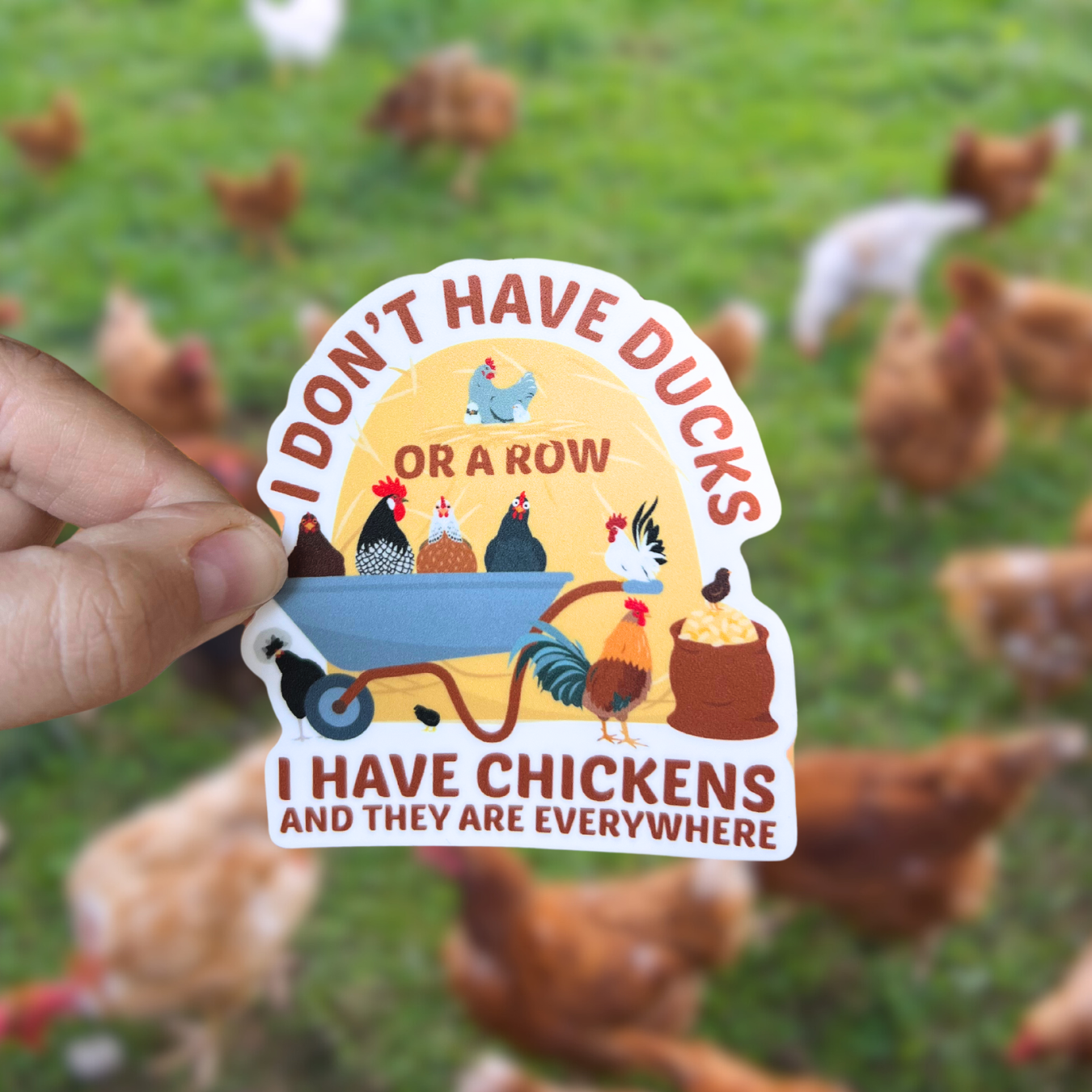 Chickens Everywhere Sticker