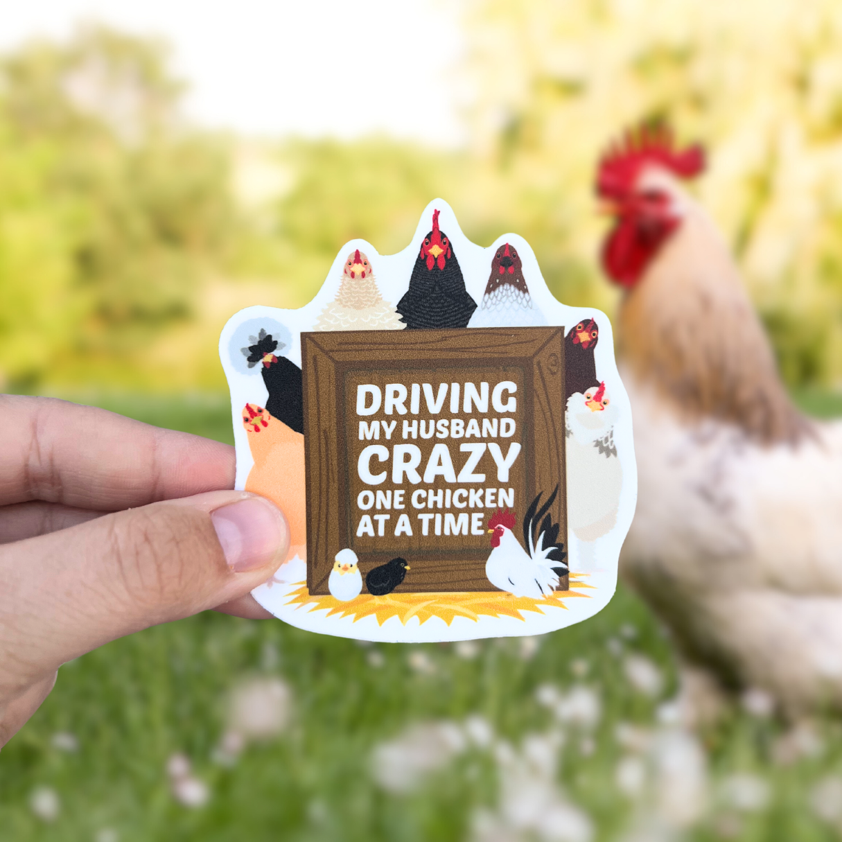 Driving my Husband Crazy Chicken Sticker