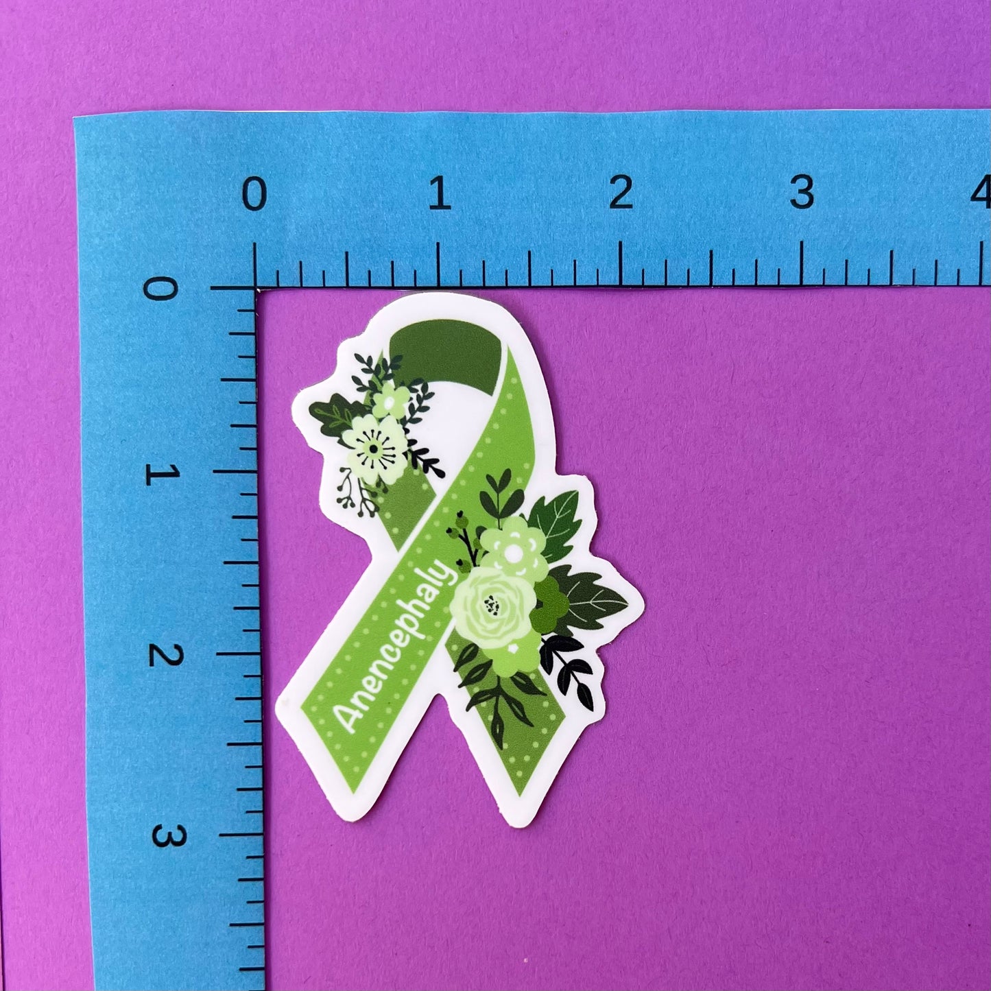 Anencephaly Awareness Ribbon