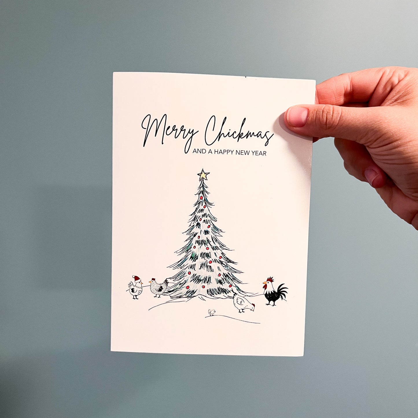 The Ultimate Chicken Lover’s Christmas Box