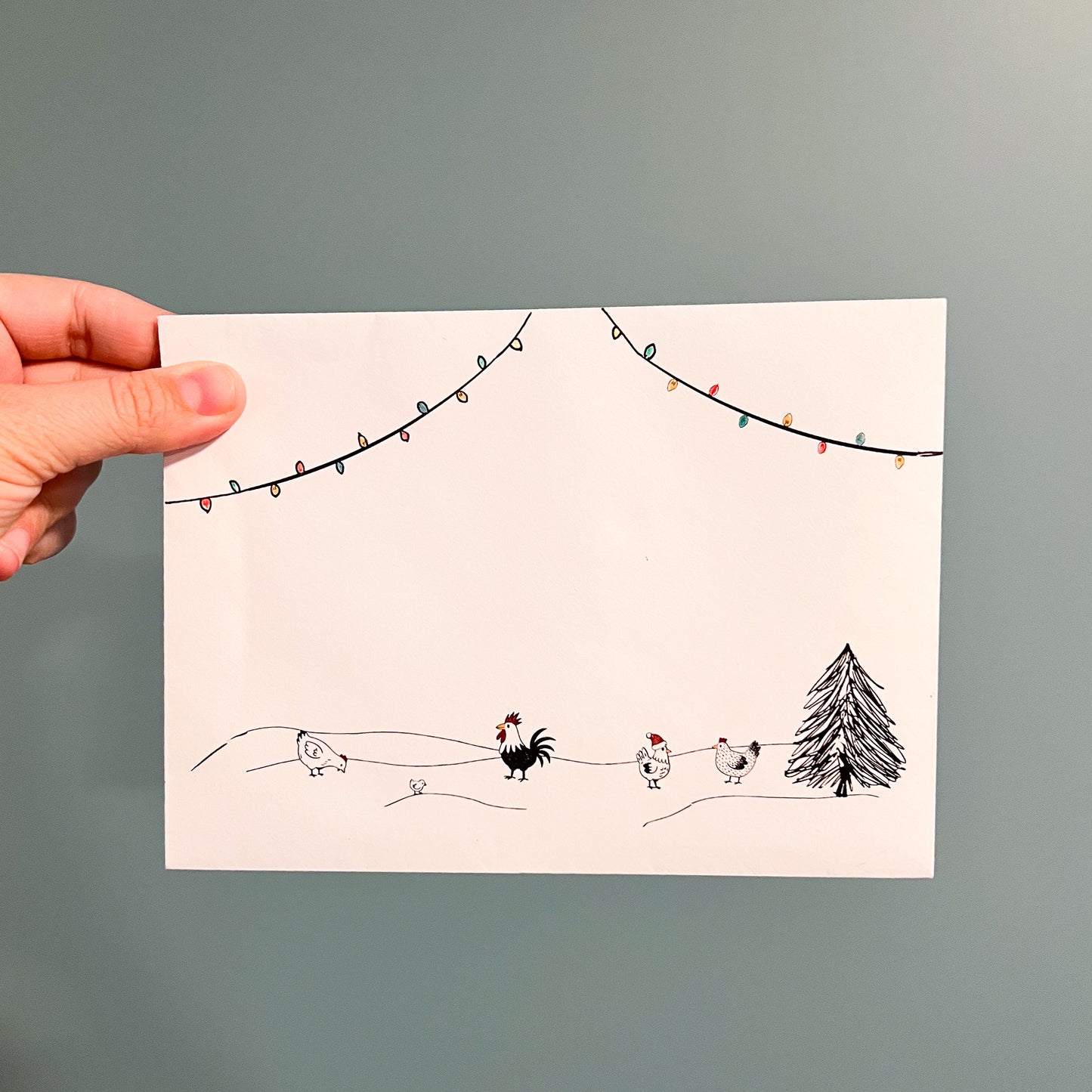 The Ultimate Chicken Lover’s Christmas Box